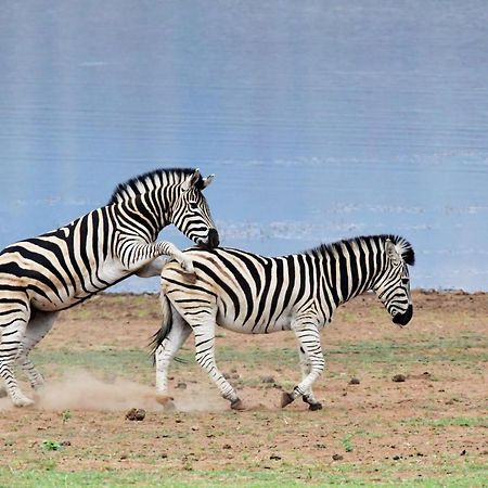 Tented Adventures Pilanesberg Bagian luar foto
