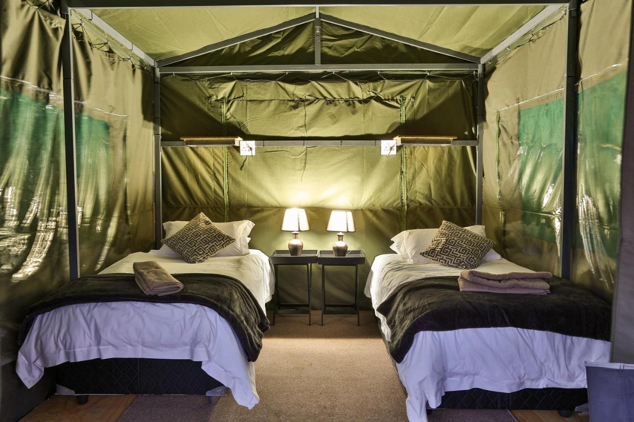 Tented Adventures Pilanesberg Bagian luar foto