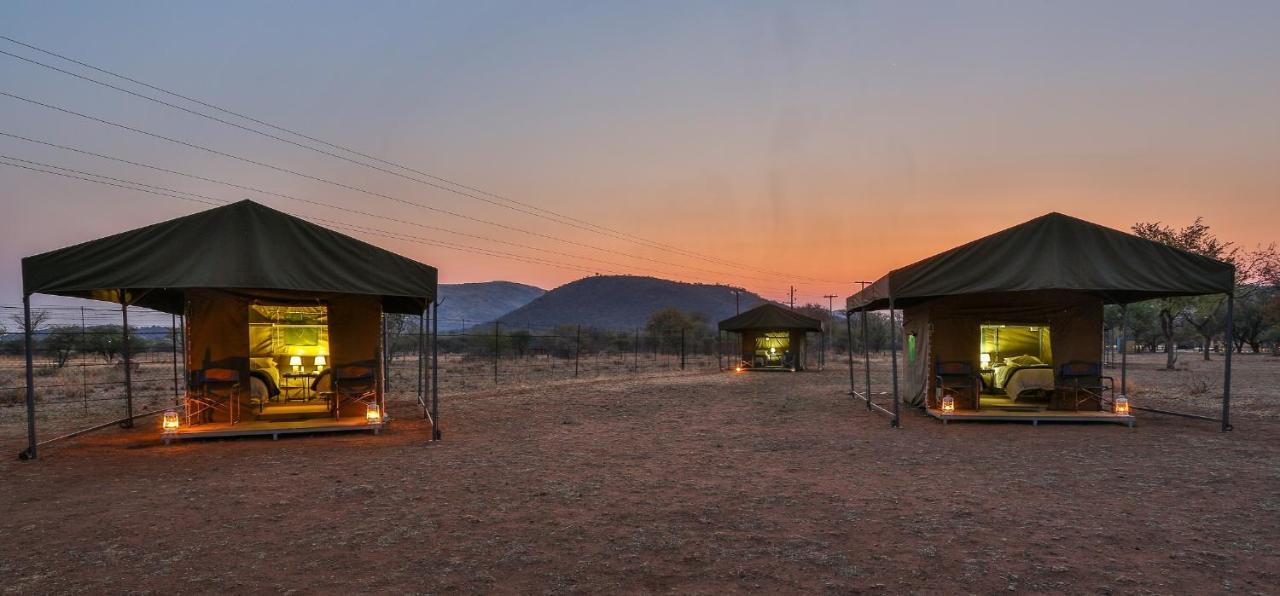 Tented Adventures Pilanesberg Bagian luar foto