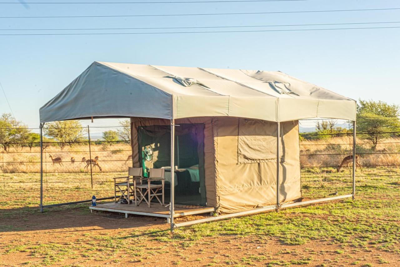 Tented Adventures Pilanesberg Bagian luar foto